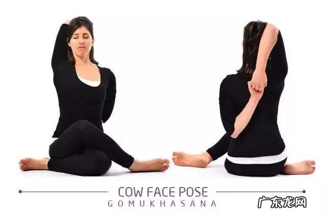 男人练习瑜伽该从哪里练起?“一字马”男人可以练习吗?