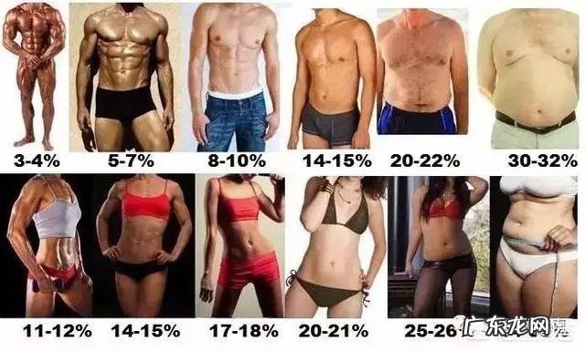 正在实施减肥计划的你,有没有只是在“嘴上减肥”?