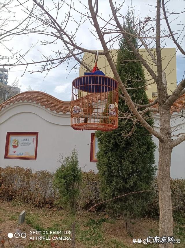 惜命最好的方式不是一味的“养生”,而是好好吃饭!认同吗