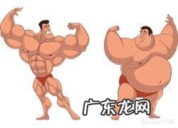 健身增肌告别油腻,怎样让脂肪“变成”肌肉?