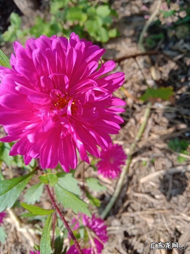 你认为自己有什么坏习惯是对身体伤害最大的?