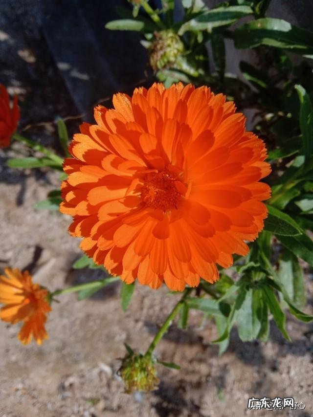 你认为自己有什么坏习惯是对身体伤害最大的?