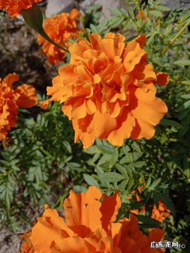 你认为自己有什么坏习惯是对身体伤害最大的?