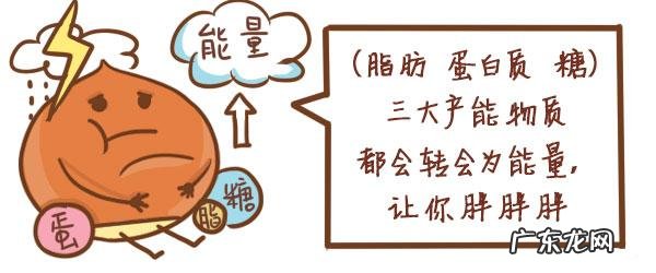 饮料配料表上的能量是什么 食品配料表中应该看能量还是脂肪？