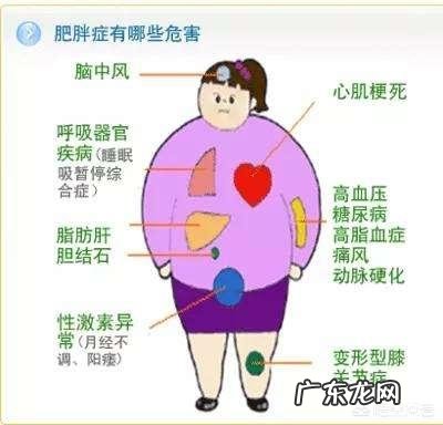 身高162CM,体重190斤,怎样减肥才好