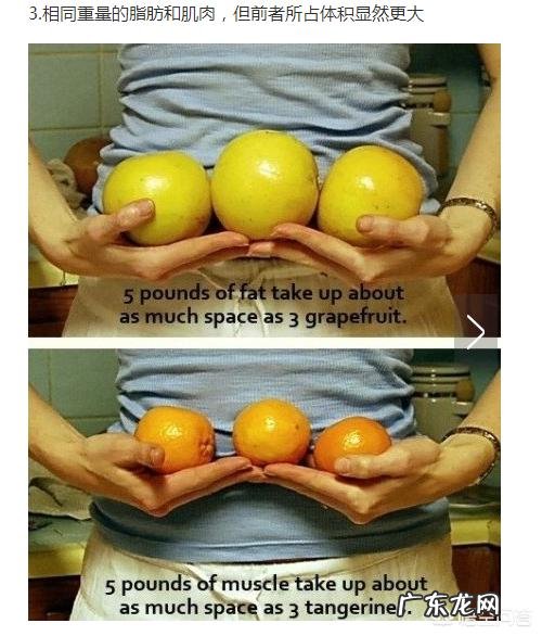 无氧运动减肥会不会掉肌肉