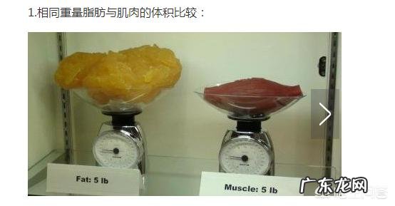 无氧运动减肥会不会掉肌肉