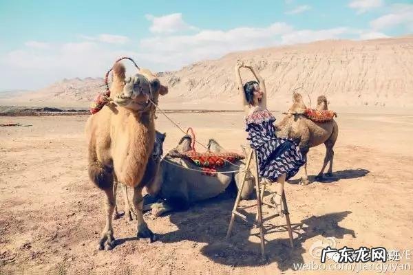 美国心脏病学会:玩手机超五小时增加肥胖风险,你每天会玩多久?