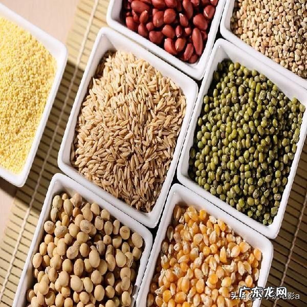 吃蛋白质抗饿还是吃脂肪抗饿?