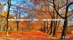 寒门贵子读后感100字 精辟！ 寒门贵子演讲稿2000字