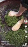 抖音上怎么制作茶 怎样看待抖音制茶女子用脚代替手揉茶的做法？