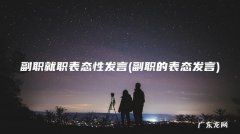 副职的表态发言 副职就职表态性发言