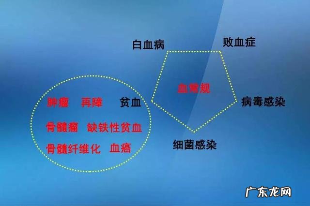 不抽血,能检查出血常规参数吗?
