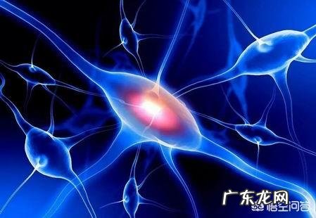 植物神经紊乱为什么会引起厌食症?