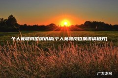 个人竞聘岗位演讲稿格式 个人竞聘岗位演讲稿