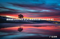 长津湖观后感500字作文 观后感500字作文