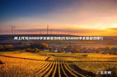 代写1000字文章多少钱? 网上代写3000字文章多少钱