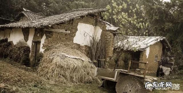 为什么在城里生活惯了的农村人再回到农村就不习惯农村的生活了呢