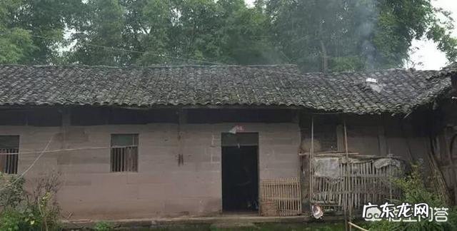 为什么在城里生活惯了的农村人再回到农村就不习惯农村的生活了呢