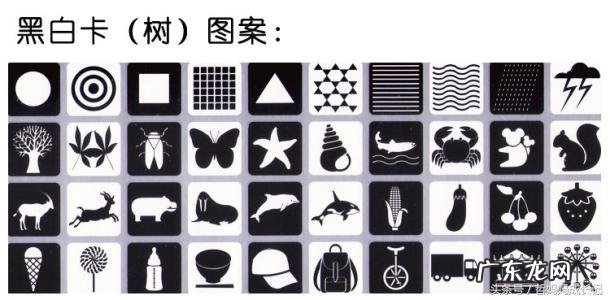 宝宝出生后哪些筛查您都做了?