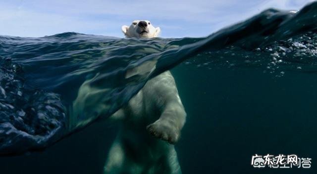 每天跑步5公里能减肥吗 坚持每天跑步和隔一天跑一次的人，哪一个对减肥更有利呢？