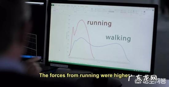 每天跑步5公里能减肥吗 坚持每天跑步和隔一天跑一次的人，哪一个对减肥更有利呢？