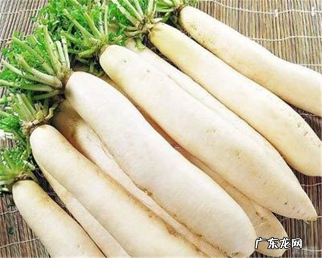 夏天来了吃姜,冬天来了吃萝卜,对健康身体好,人人都适合吃吗?