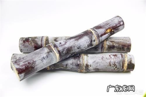 为什么说吃火锅不能喝牛奶?