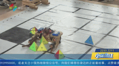 酷炫！南海教师花费七年心血，研发出独家魔方机器人