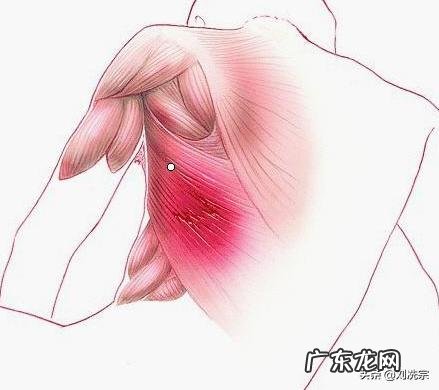 利用按摩器对全身按摩的顺序如何进行?每个穴位需按多少时间?