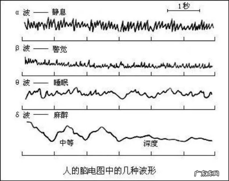 量子纠缠超光速1万倍？“灵魂”真的存在吗？人类能瞬间移动吗？
