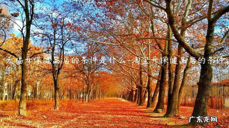 天猫保健品类目入驻费用 天猫开保健品店的条件是什么