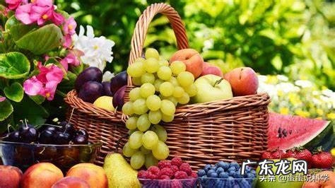 微生物培养过程中不加入酵母提取物行吗