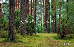 大额坑产怎么补