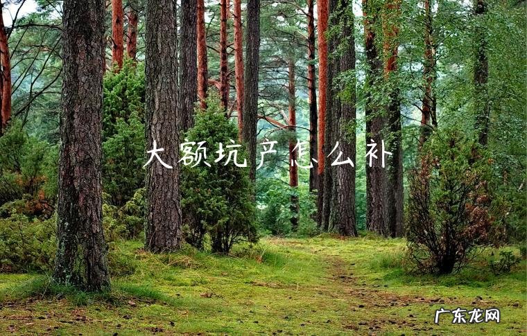 大额坑产怎么补