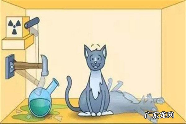 2021诺贝尔物理学奖大热,量子纠缠到底有多神秘?