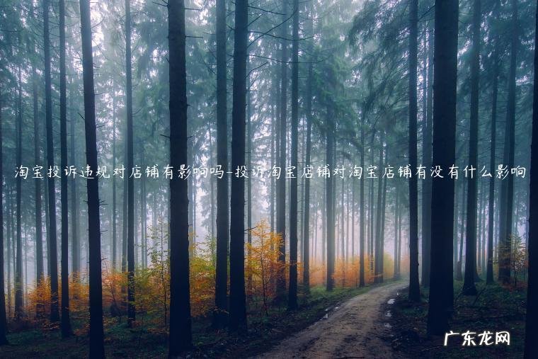 如果淘宝店铺被投诉会有什么样的处罚结果 淘宝投诉违规对店铺有影响吗