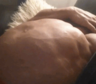 硬拉和深蹲能练到腹肌吗？