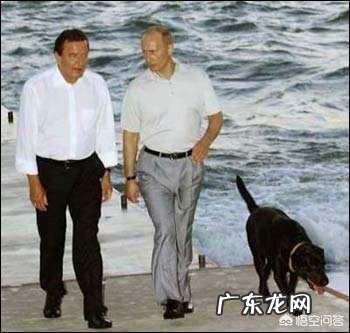 德国前总理施罗德称克里米亚入俄符合国际法,你怎么看