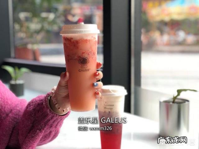 奶茶加盟哪家做得好 没有经验没有技术,深圳奶茶加盟哪家好