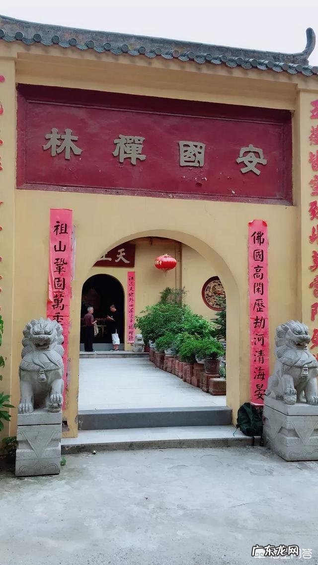 白茶哪种好喝 哪个品牌的白茶好喝