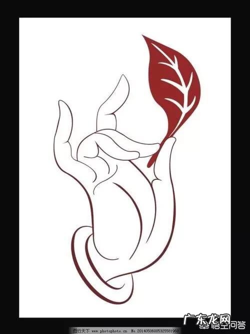 白茶哪种好喝 哪个品牌的白茶好喝