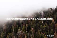 原浆啤酒七天鲜活是什么意思 一瓶原浆啤酒如何日日鲜