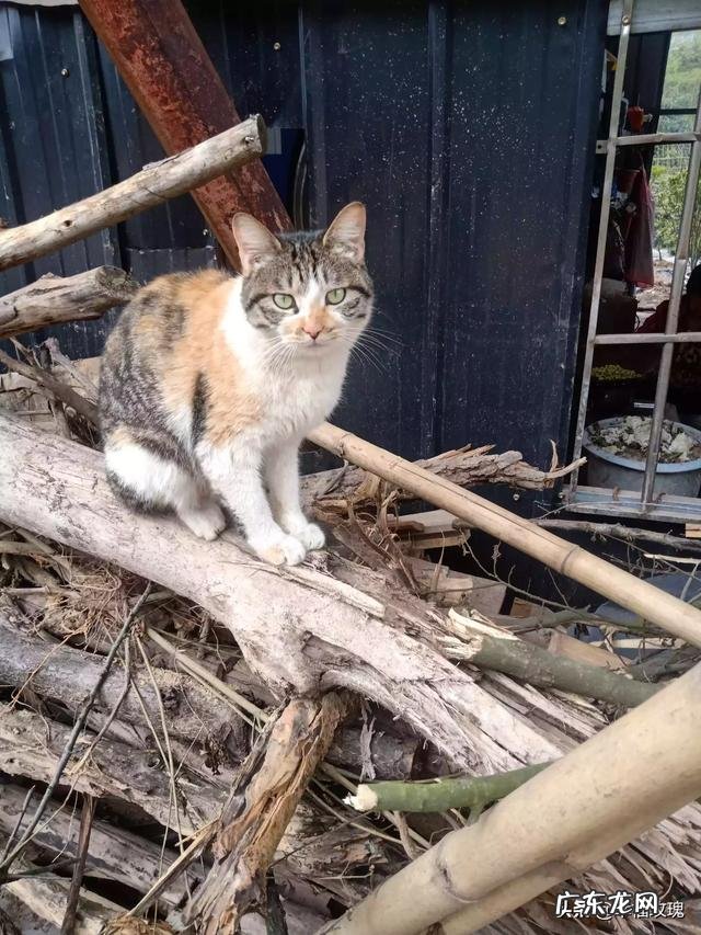 如何创业找门路 如何创业