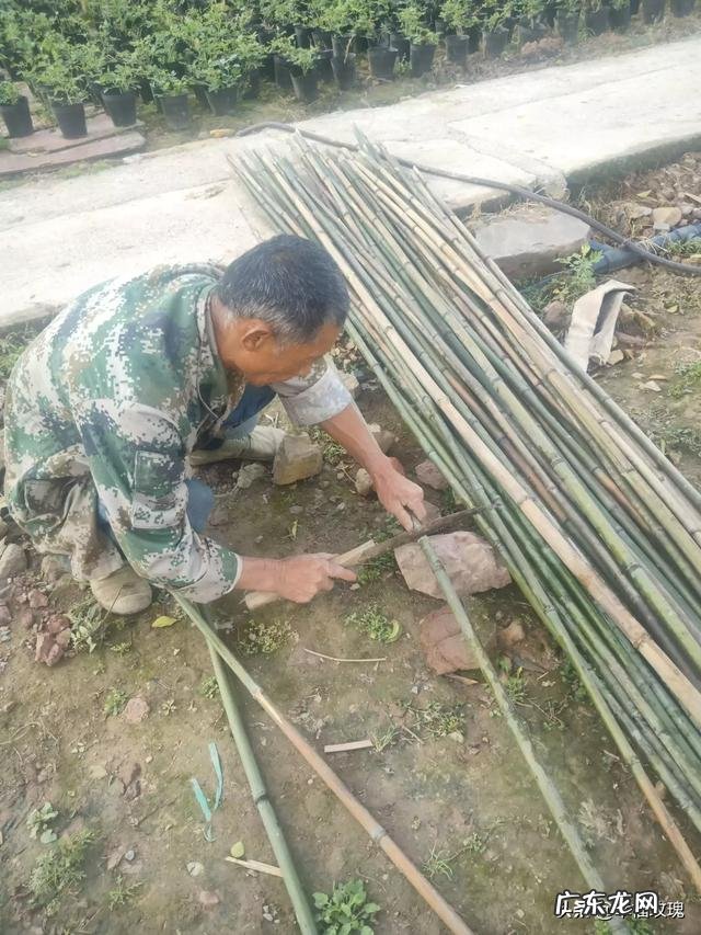 如何创业找门路 如何创业