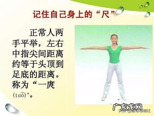 老虎、黑熊斗得过群狼吗？