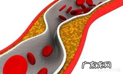 有多少人的体重属于标准范围内,无论男女?