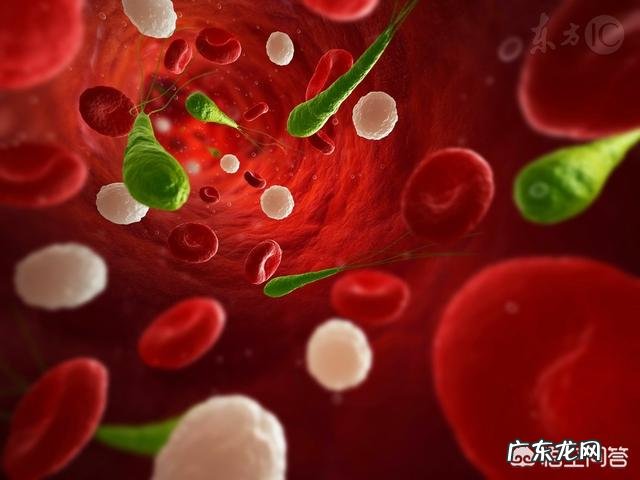 哪些不良的生活习惯将会导致血管老化?