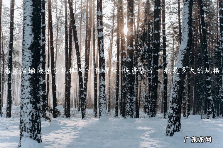 圆通快递袋子尺寸 淘宝店铺快递袋规格尺寸有哪些