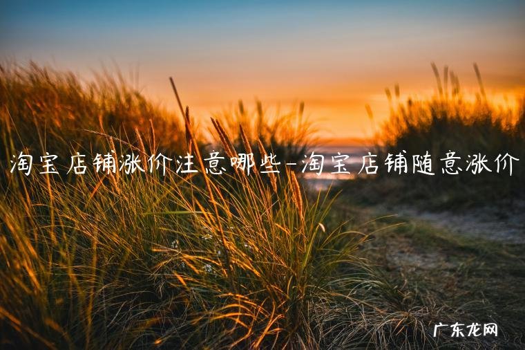 淘宝宝贝如何涨价没有影响 淘宝店铺涨价注意哪些